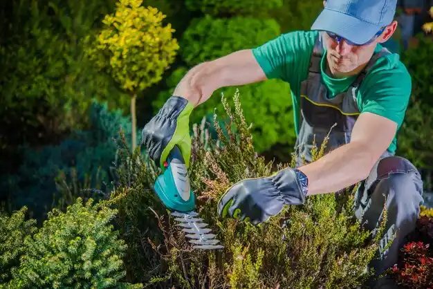 landscaping services Caspian